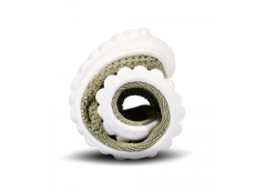 Leguano Scio Green Leguano Scio Green