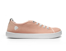 Anatomic Starter Canvas A21-1 Merunka Anatomic Starter Canvas A21-1 Merunka