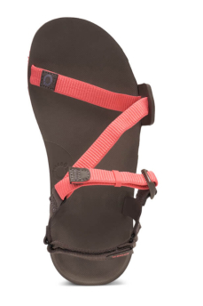 Xero Shoes Womens Z-Trail Sunset Coral Morel Xero Shoes Womens Z-Trail Sunset Coral Morel