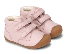 Bundgard Petit Old Rose Bundgard Petit Old Rose