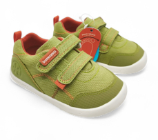 Biomecanics Verde Biomecanics Verde
