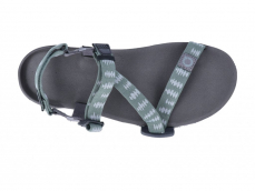 Xero Shoes Mens Z-Trail EV Forest Xero Shoes Mens Z-Trail EV Forest